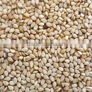Best Price Natural Sesame Seeds for Importers thumbnail-1