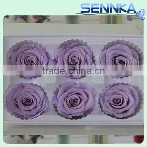 High Quality Pretty Color Preserved Rose Flower in New Products 2016 thumbnail-6