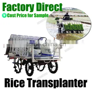Nursery Plants Customizable Riding Type Agriculture Paddy Planting Rice Planter Machine 2Z-6B2 thumbnail-1
