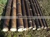 WY-216 Natural Raw Black Bamboo Poles for Making Fence Garden Fencing thumbnail-5