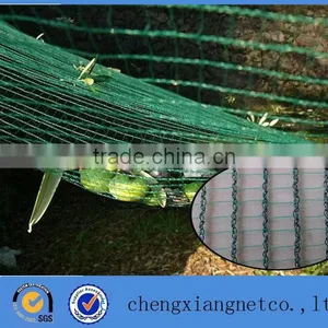 Olive Falling Fruit Harvesting Nets thumbnail-1
