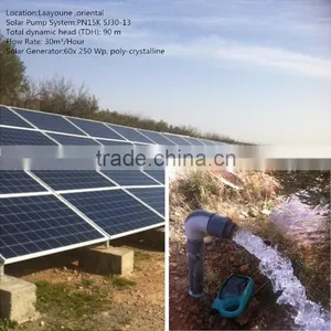 China Supplier Top Solar Water Pumping System With MPPT China thumbnail-3