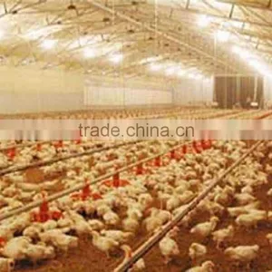 Steel Structure Design Poultry Farm Shed China thumbnail-1