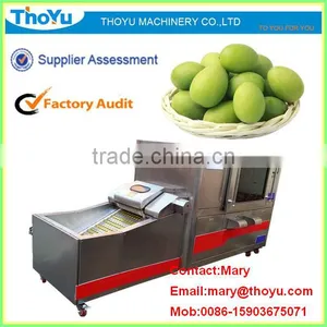 PLC Controled Olive Seed Remove Machine (SMS: 0086-15903675071) thumbnail-1