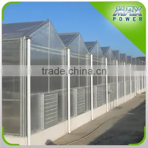 Glass Greenhouse Structure With Electrical Heating System thumbnail-6