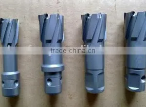Bridge T.C.T Hollow Drill Bit for Sale thumbnail-3