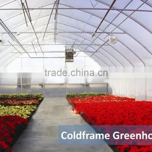 Plastic Greenhouse Single Span Greenhouse Structure thumbnail-2