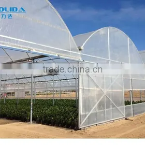 Hot Dipped Steel Pipe Structure Polyethylene Greenhouse PE Film Greenhouse thumbnail-1