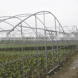 Polythene Film Solar Greenhouse For Vegetables thumbnail-4