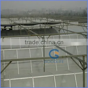 Goodlife Polycarbonate Sheet for Greenhouse thumbnail-6