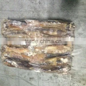 Frozen Illex Argentinus Squid for Sale thumbnail-3