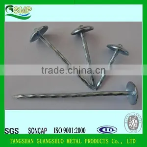 Q195 Galvanised Umbrella Roofing Nails With Rubber Washer From Factory thumbnail-4