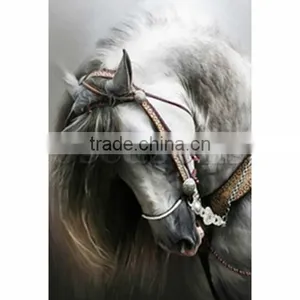 Cotton Embroidery Diamond Painting Rhinestone Square Famous White Horse Embroidery Painting thumbnail-1