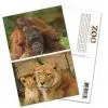 3D Lenicular Postcard thumbnail-3