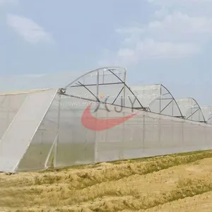 Saw Tooth Greenhouse China Glass Greenhouse Manufacturer thumbnail-1