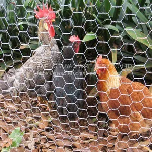 Chicken Iron Wire Mesh thumbnail-5
