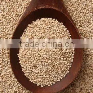 PREMIUM INDIAN SESAME SEED thumbnail-3
