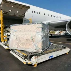 International Air Transport CAN、SZX、HKG、PVG、 --LAX、JFK、ORD、MIA、 thumbnail-2