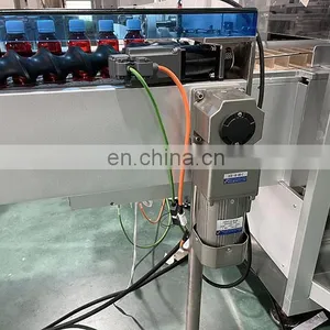 Automatic Horizontal Type Test Kit Blister Medicine Board Cartoning Machine thumbnail-4