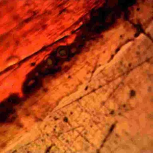 Bright Field & Dark Field Metallurgical Microscope MJ33 thumbnail-2