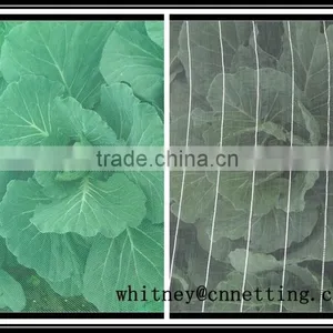 100% Virgin HDPE White or Green Agricultural Anti-aphid Net/insect Net thumbnail-6
