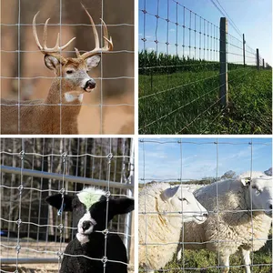 Heavy-Duty Galvanized Cattle Fence Panels for Secure Farm and Livestock Protection thumbnail-5