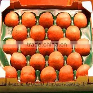 Professional Manufacture Fruit Packaging Tray With Holes Cup Holder thumbnail-5