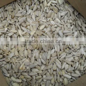 Sunflower Seed Kernel thumbnail-1