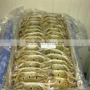 Three Sport Crab thumbnail-1