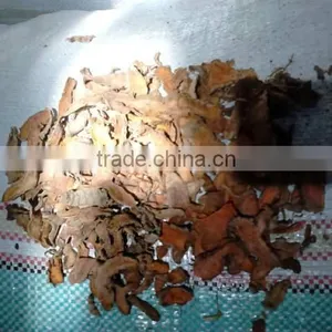 Slice Dried Turmeric From Indonesia. Good Taste and Cucurmin Content thumbnail-6