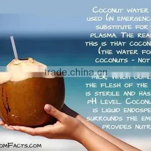 BULK COCONUT WATER - COMPETITIVE PRICE thumbnail-1