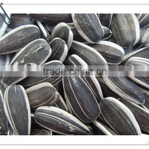 Sunflower Seeds 5009 Inner Mongolia 2015 Crop thumbnail-1