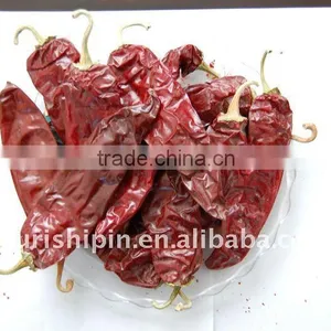 Red Chili Pepper thumbnail-3