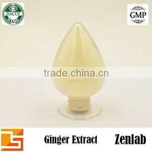 High Quality Gingerol Ginger Extract Ginger Root Powder thumbnail-6