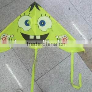 Kites thumbnail-1