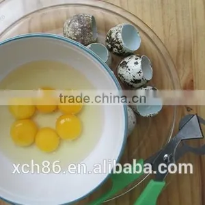 Professional Quail Egg Scissors Egg Shell Cutter Price thumbnail-1