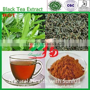 Soluble in Water 100% Instant Black Tea Powder thumbnail-1