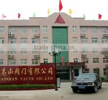 Zhengzhou Gaoshan Valve Co., Ltd. company overview - view 1 thumbnail