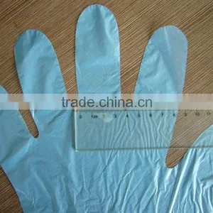 Disposable PE Glove, Plastic Glove, Household PE Glove thumbnail-6