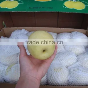 Excellent Crown With Cheaper Price for Sell thumbnail-3