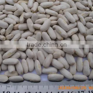 2015 Good Quality Large White Kidney Beans for Wholesale thumbnail-6