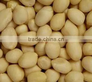 High Quality Blanched Peanuts thumbnail-2