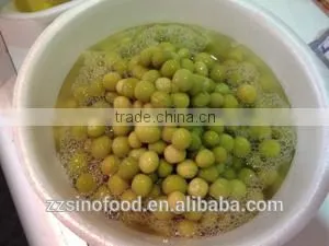Canned Food Canned Vegetable Canned Green Peas in Brine thumbnail-1