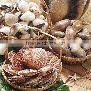 Shell Fish thumbnail-1