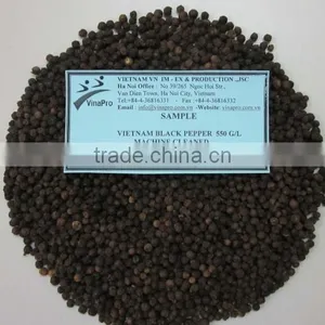 VINAPRO BLACK PEPPER CLEANED 500 G/L; 550 G/L; 570 G/L thumbnail-1