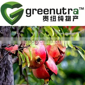 Pomegranate Rind Extract thumbnail-1