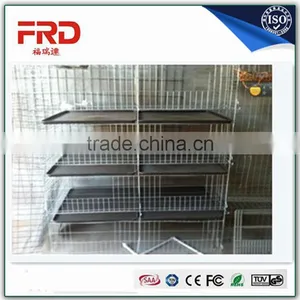 Trade Assurance 100% Payment Guarantee Factory Good Quality Poultry Battery Cage for Nigerian Farm thumbnail-4