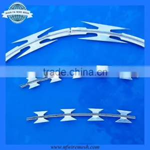 Razor Barbed Wire Galvanized (factory) thumbnail-2