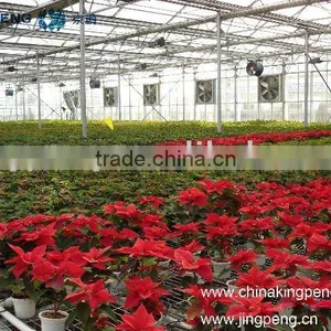 Commercial Glass Greenhouse For Flowers thumbnail-1