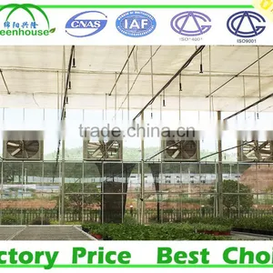 Greenhouse Fan thumbnail-1